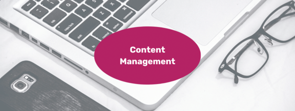 argutus_leistungen_web-content-management.png 